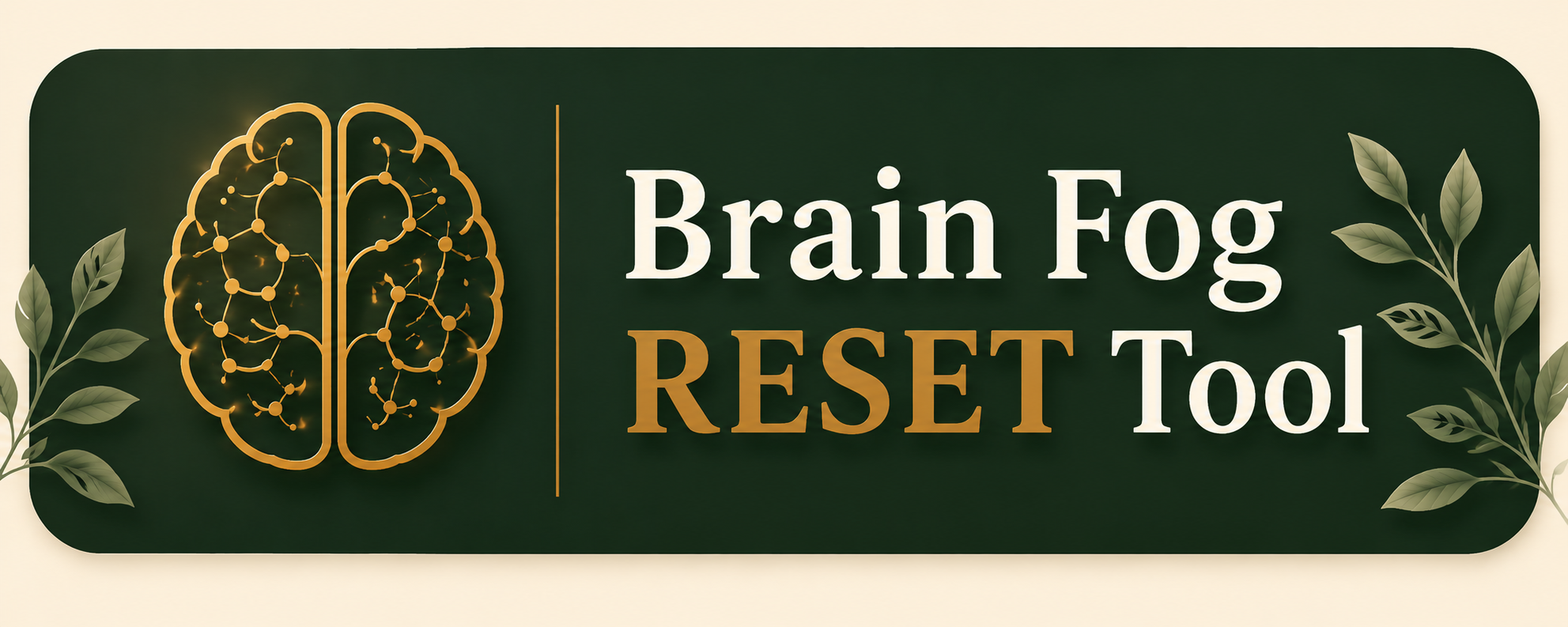 Brain Fog RESET Tool